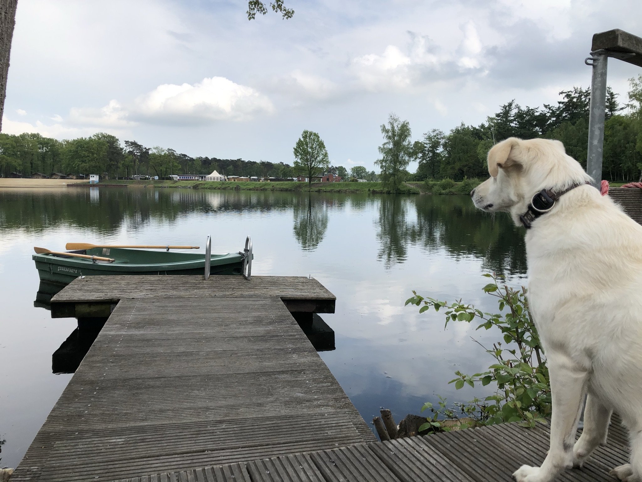 Steg, Hund und Boot am Ternscher See in Selm