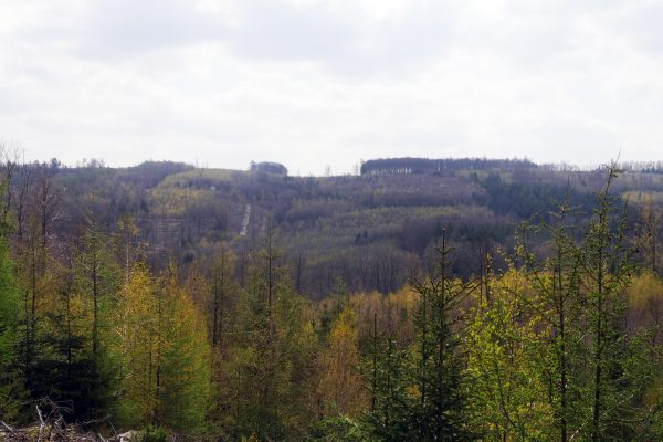 Das Foto zeigt eine Aussicht vom 3 Tüme WEG in Hagen aufs Sauerland