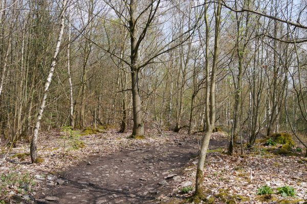 Das Foto zeigt den 3 Tüme WEG in Hagen