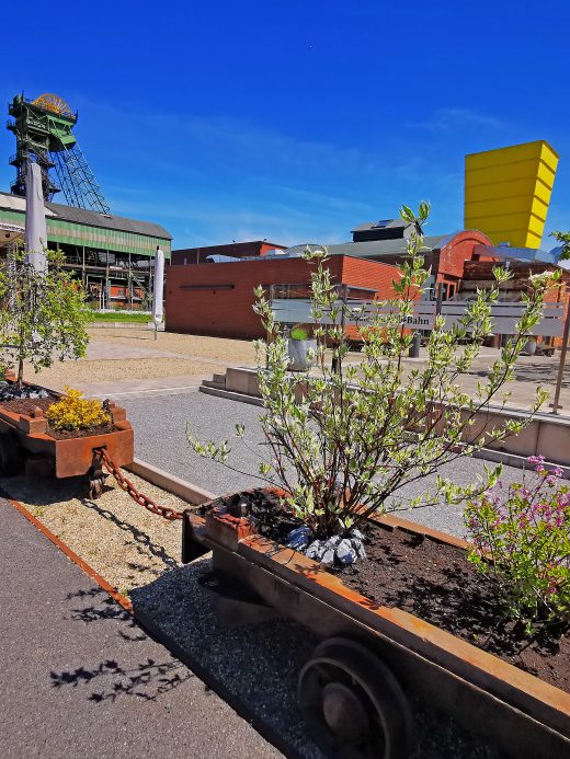 Das Foto zeigt alte Kohlenloren als Blumenkübel auf der Zeche Westfalen in Ahlen