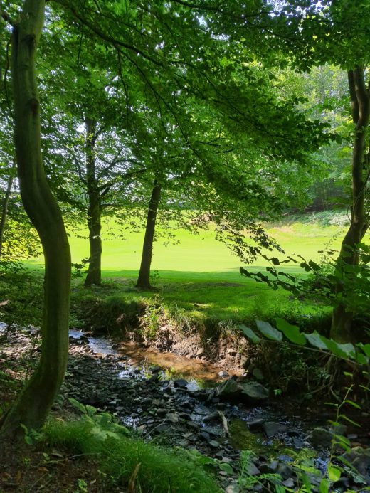 Das Foto zeigt einen Bach und grüne Wiesen auf dem Kettwiger Panoramasteig