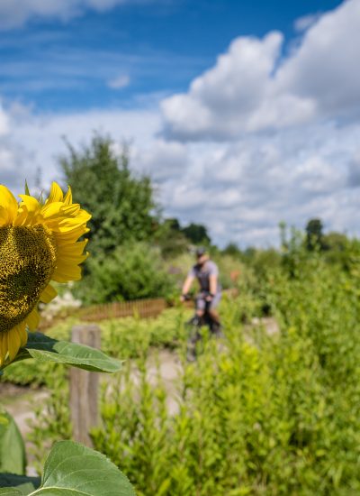 Das Foto zeigt Jochen bei seiner Radtour durch Dortmund auf dem Emscher-Weg