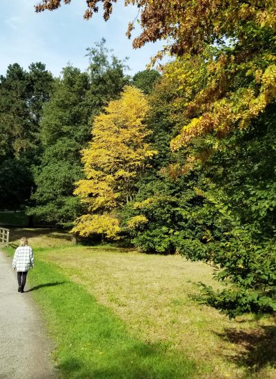 Das Foto zeigt Katalina im Herst im Ruhrgebiet bei einem Spaziergang im Wiesental in Bochum