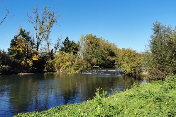 Das Foto zeigt die Harpener Teiche in Bochum im Herbst