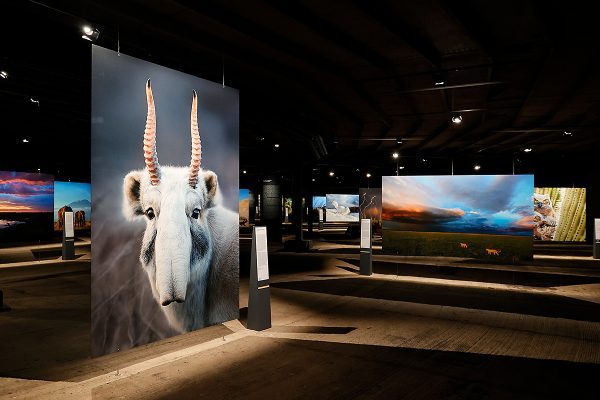 Das Bild zeigt Bilder in der Ausstellung im Gasometer Oberhausen