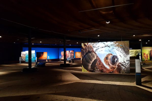 Das Foto zeigt die Ausstellung "Das zerbrechliche Paradies" im Gasometer Oberhausen