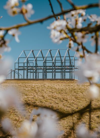 Das Foto zeigt Kirschblüten und das Hallenhaus auf der Halde Norddeutschland in Neukirchen-Vluyn