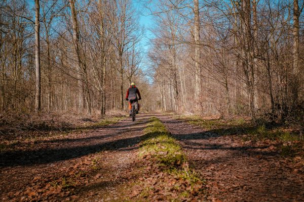 Das Foto zeigt einen Radfahrer in einem Wald im Kreis Wesel