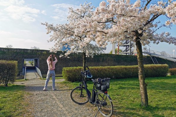 Das Foto zeigt Sandra beim Fotografieren der Kirschblüten im OLGA-Park in Oberhausen