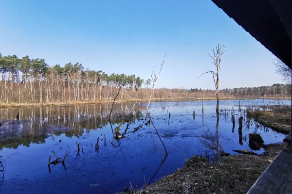 Das Foto zeigt den Weihnachtssee in Bottrop