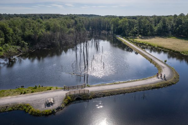 Das Foto zeigt die Landzunge im Pfingstsee in der Kirchheller Heide in Bottrop