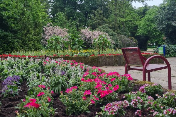 Das Bild zeigt Blumen im Park