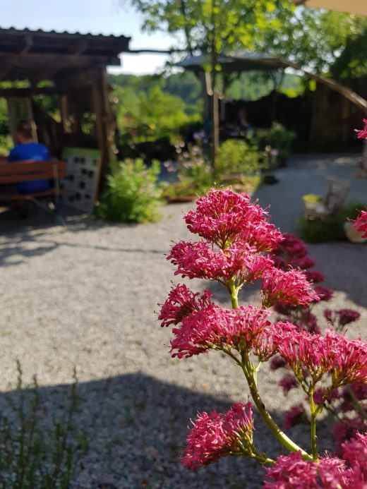 Das Foto zeigt den Hinterhof des Café Kännchen in Gevelsberg