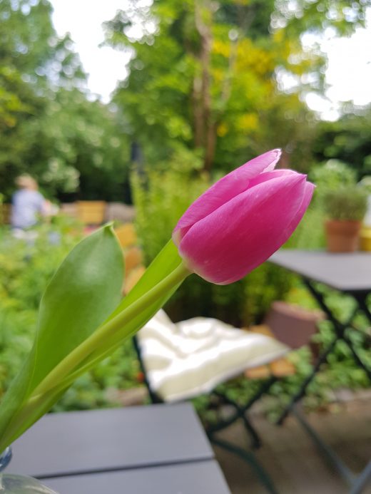 Das Foto zeigt den Hinterhof des WinzigSchön in Duisburg