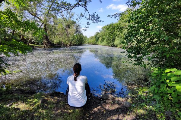 Das Foto zeigt Laura im Landschaftsschutzgebiet an der Ruhr in Mülheim beim Spazieren im Ruhrebiet