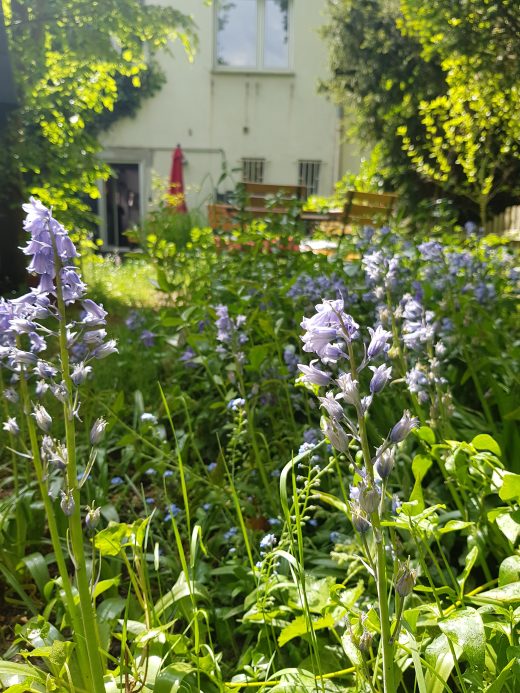 Das Foto zeigt den Hinterhof des WinzigSchön in Duisburg