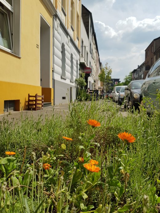 Das Foto zeigt die Straße vorm WinzigSchön in Duisburg