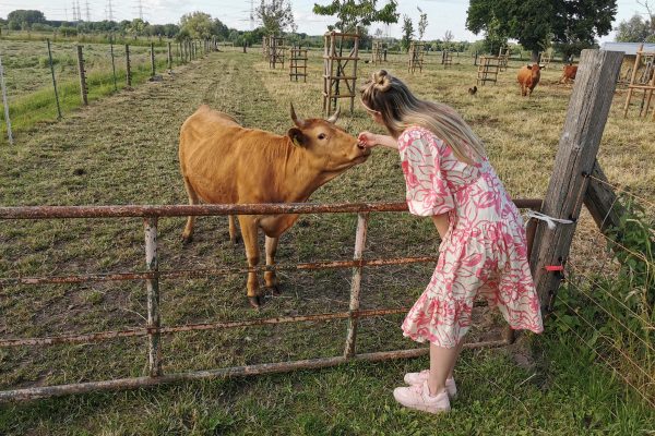 Das Bild zeigt Sandra, deren Hand von einer Kuh beschnüffelt wird
