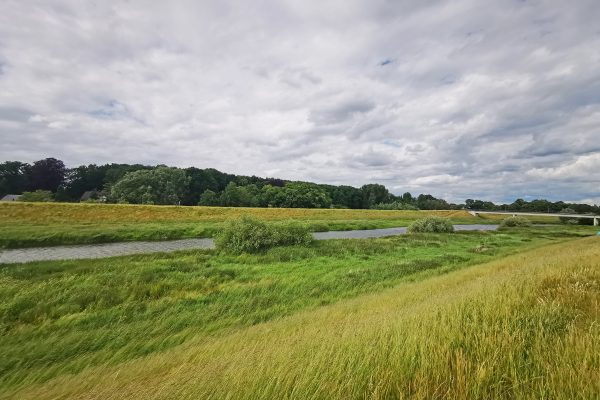 Das Foto zeigt die Lippeauen in Dorsten