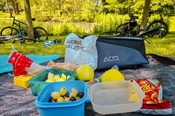 Das Foto zeigt ein Picknick im Schlosspark Weitmar in Bochum