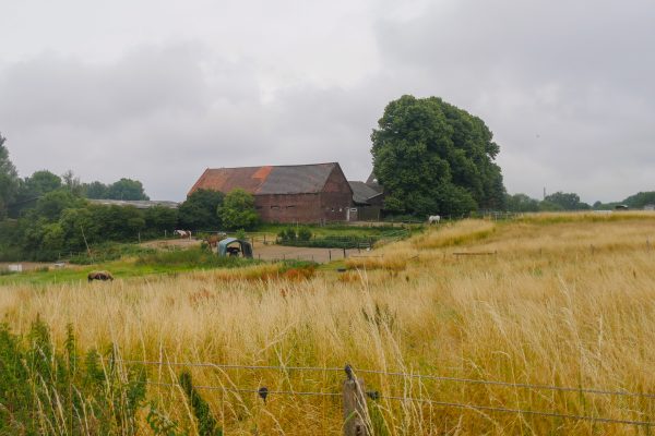 Das Foto zeigt einen Bauernhof in Essen