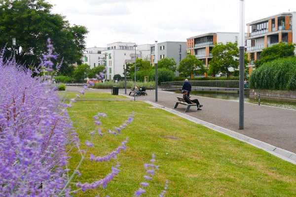 Das Foto zeigt die Grüne Mitte in Essen