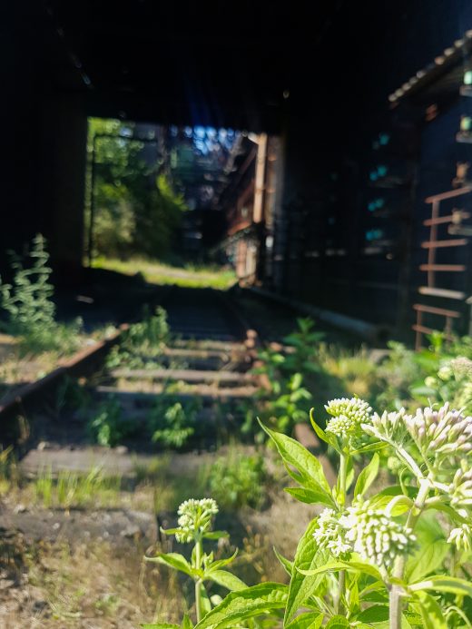 Das Foto zeigt das Außengelände der Kokerei Hansa in Dortmund