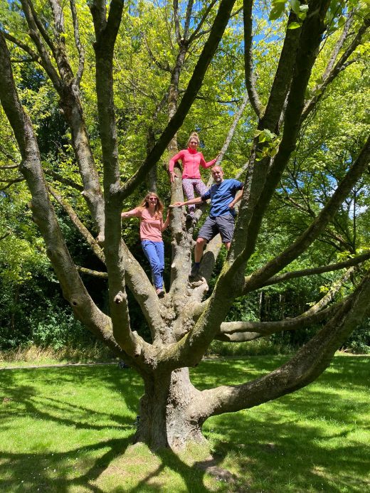 Das Foto zeigt drei Wanderer im Hallopark entlang des ZollvereinSteigs