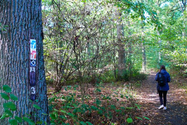 Das Bild zeigt das Wandergebiet Haard in Datteln