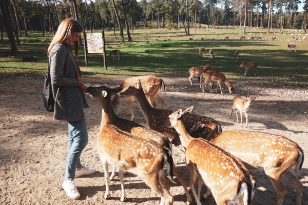 Das Bild zeigt Alex im Wildpark Granat