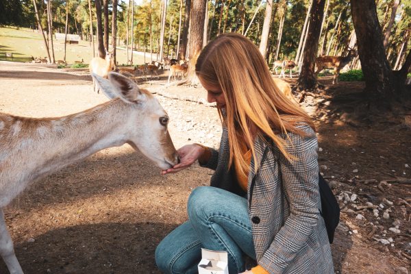 Das Foto zeigt Alex beim Füttern der Tiere im Wildpark Granat