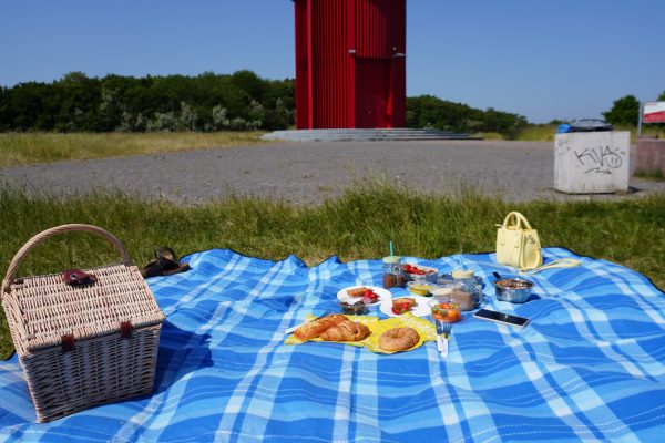 Das Bild zeigt ein Picknick auf der Halde Rheinpreußen in Moers