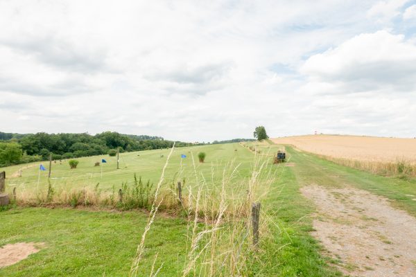 Das Foto zeigt die Swin Golf Anlage von "die farm" in Essen