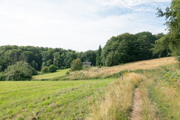 Das Foto zeigt einen Wanderweg in den Feldern von Mülheim an der Ruhr