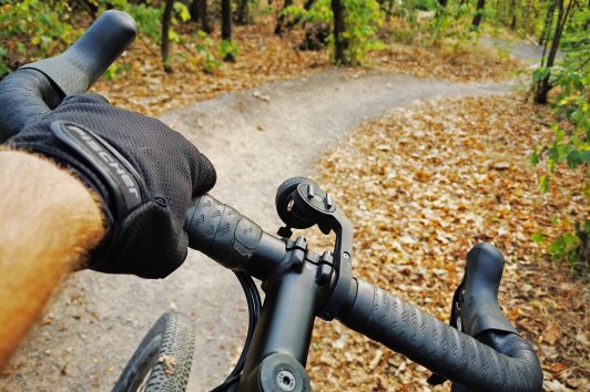 Das Bild zeigt ein Lenkrad eines Fahrrads im Wald