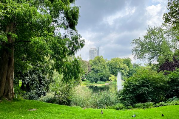 Das Foto zeigt den Stadtgarten im Südviertel Essen