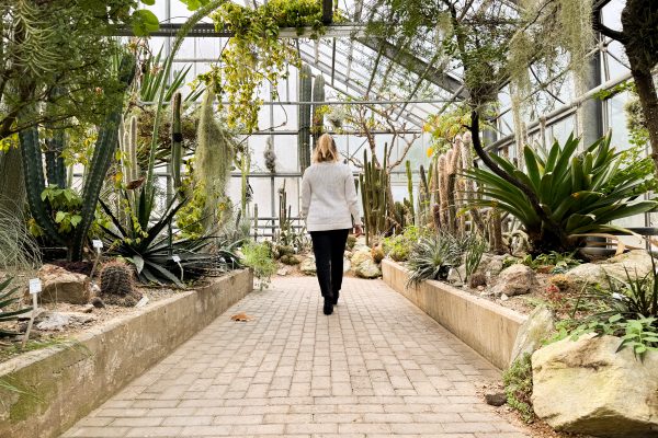 Das Foto zeigt das Wüstenhaus im Botanischen Garten der Ruhr-Universität Bochum