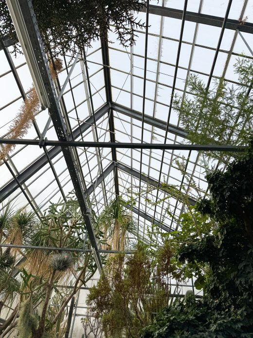 Das Foto zeigt ein Gewächshaus im Botanischen Garten der Ruhr-Universität Bochum