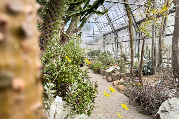 Das Foto zeigt das Wüstenhaus im Botanischen Garten der Ruhr-Universität Bochum