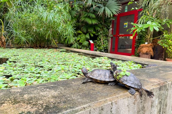 Das Foto zeigt das Tropehaus im Botanischen Garten der Ruhr-Universität Bochum