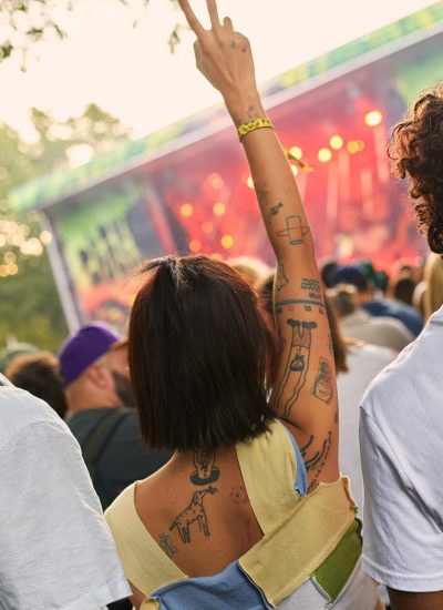 Das Foto zeigt feiernde Besucher:innen beim Ruhr Reggae Summer in Mülheim an der Ruhr