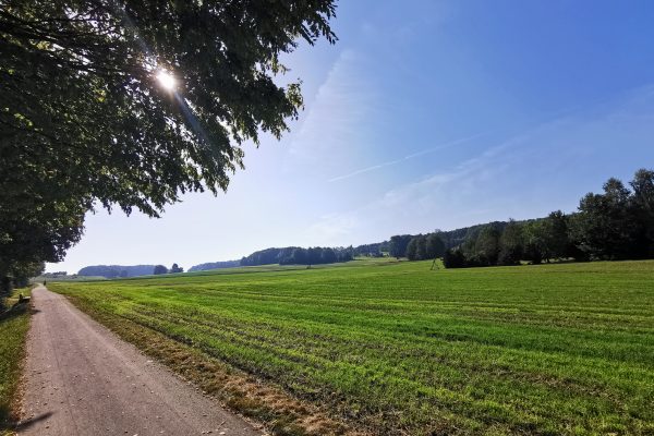 Das Foto zeigt die Römer-Lippe-Route
