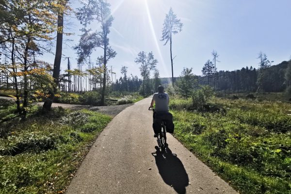 Das Foto zeigt den Teutoburger Wald an der Römer-Lippe-Route