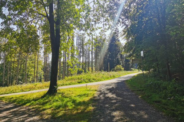 Das Foto zeigt den Teutoburger Wald an der Römer-Lippe-Route