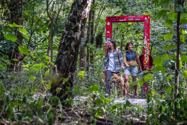 Das Foto zeigt den Skulpturenwald in Gelsenkirchen.