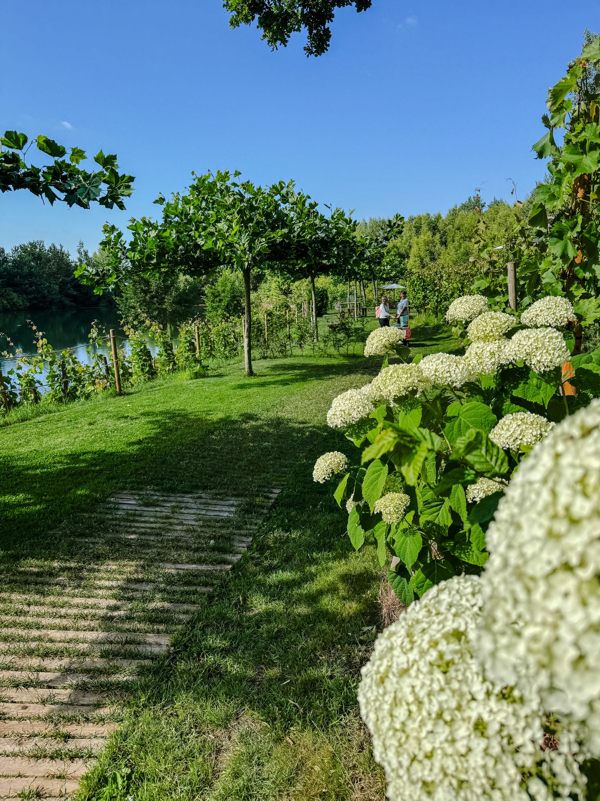 Das Foto zeigt das Picknick Wunderbar in Schermbeck.