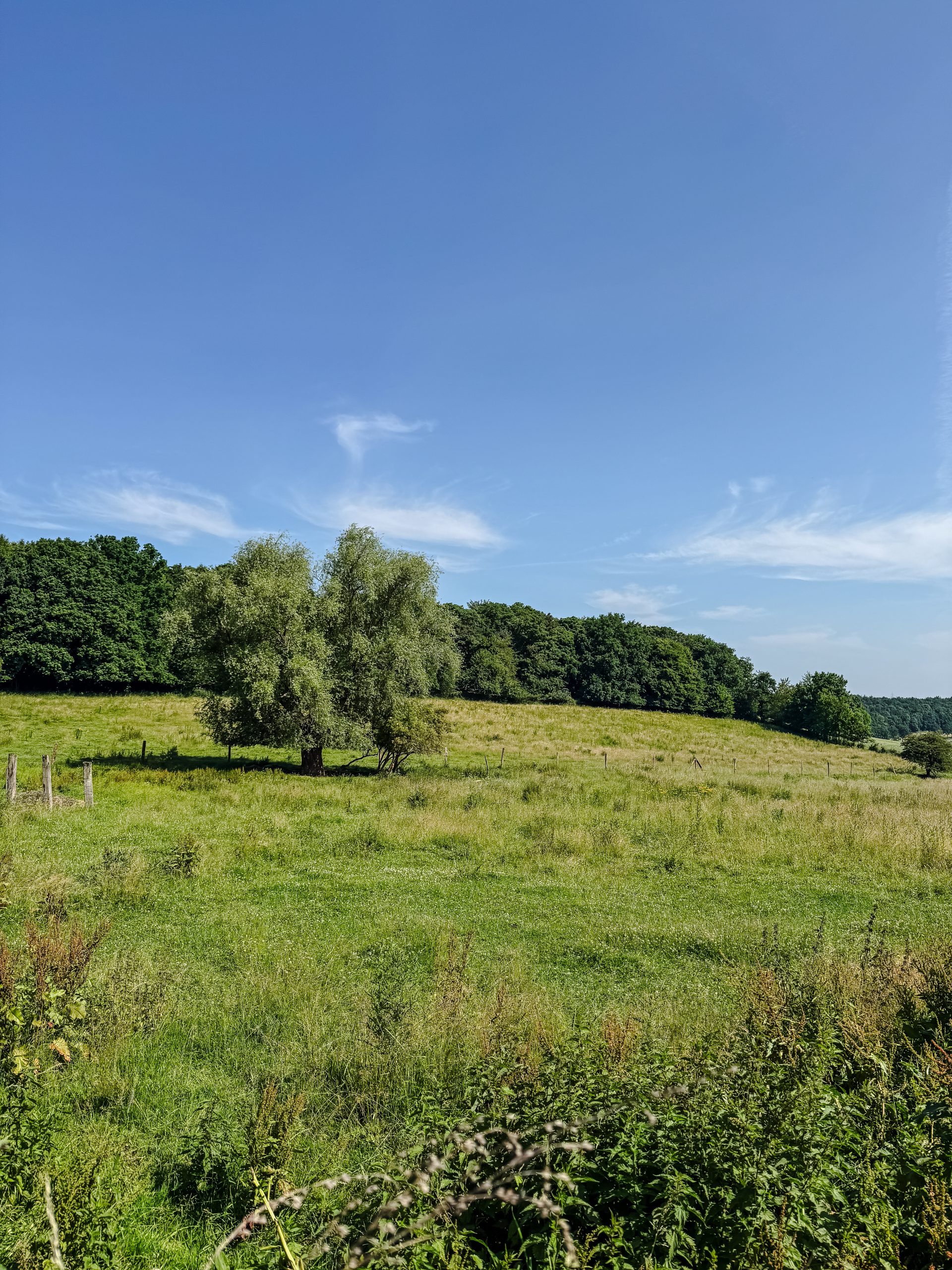 Das Foto zeigt das Muttental in Witten.