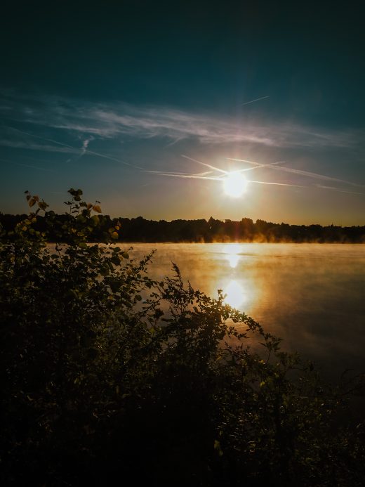 Sonnenaufgang über einem ruhigen See mit aufsteigendem Nebel, silhouettierten Pflanzen und Bäumen im Vordergrund und einem klaren Himmel mit ein paar Kondensstreifen.