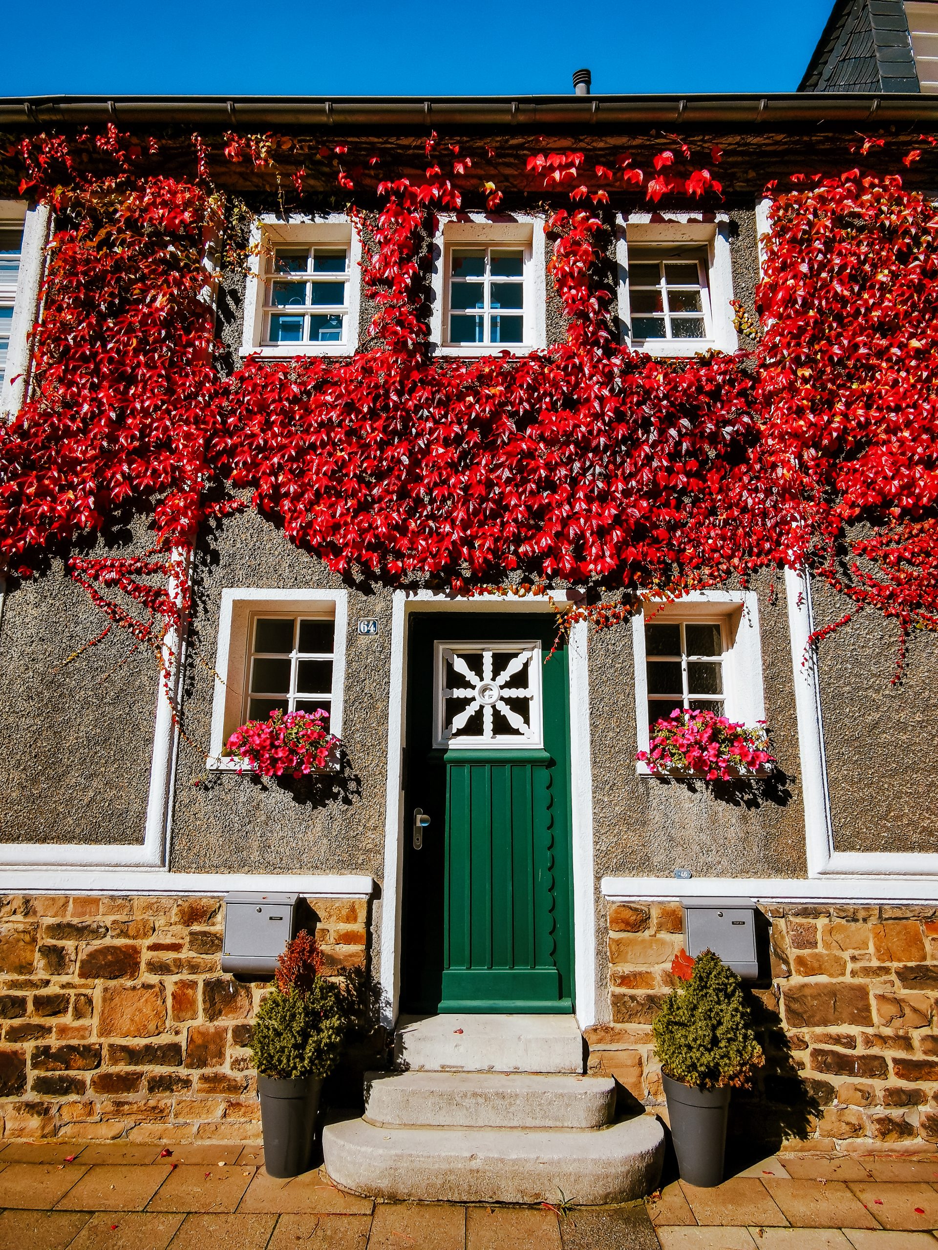 Ein charmantes Haus mit einer grünen Tür, Steinstufen und mit rosa Blumen geschmückten Fenstern. Roter Efeu bedeckt einen Großteil der Außenwand und bildet einen Kontrast zur grauen Fassade und dem blauen Himmel darüber. Zwei Topfsträucher flankieren den Eingang.