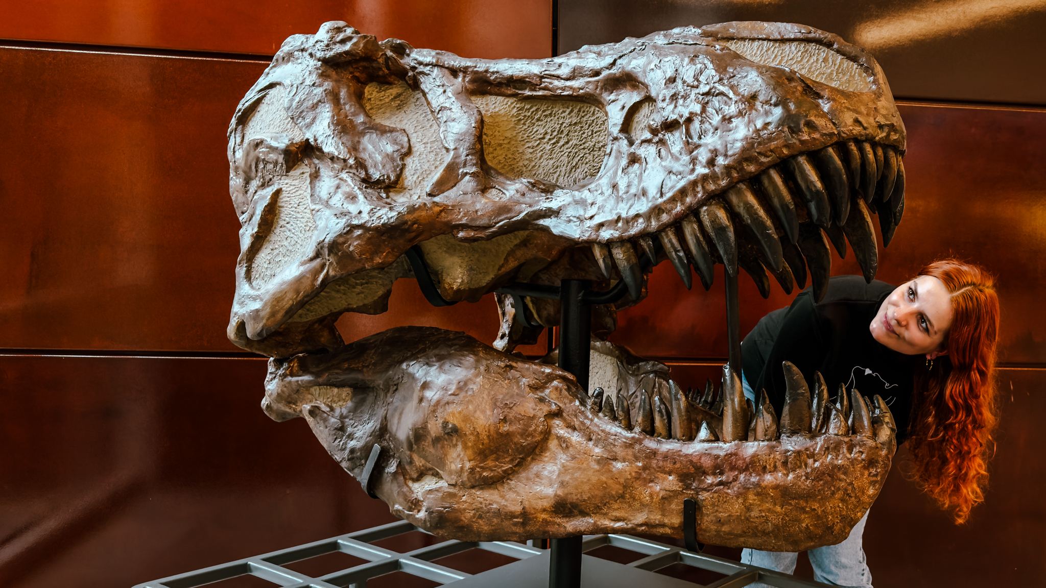 Eine junge Frau mit roten Haaren lächelt und lehnt sich in das offene Maul eines großen T. rex-Schädels, der in einem Museum ausgestellt ist. Im Hintergrund sind dunkelbraune Wände zu sehen.